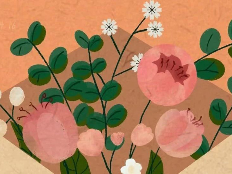 Jufeng의 가족에게 보내는 편지