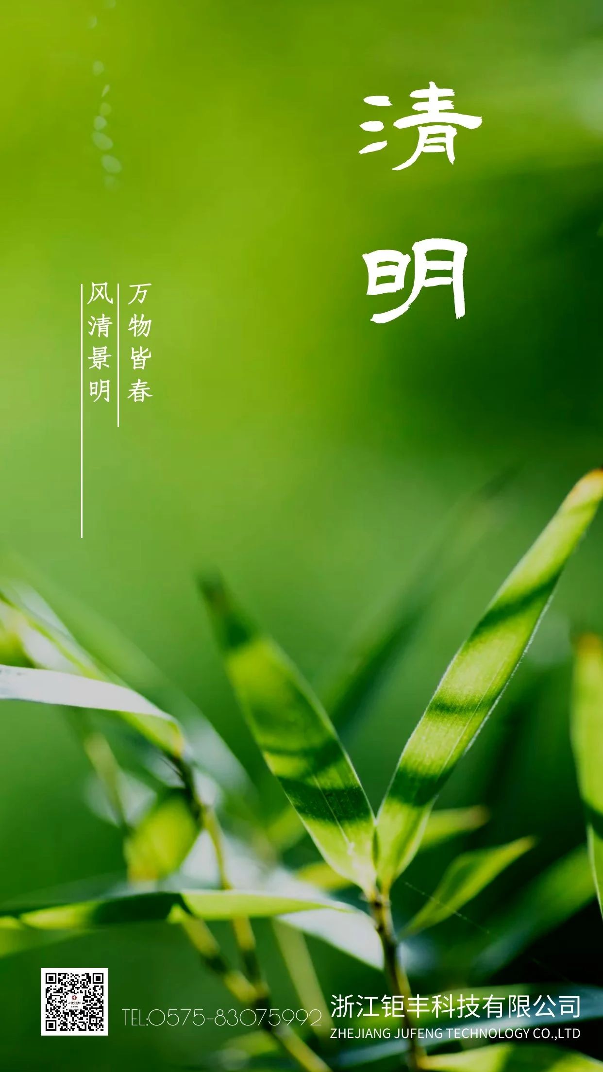 청명丨바람이 불고 청명절은 봄으로 가득 차 있습니다