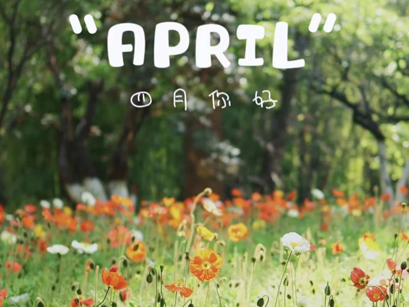 생일축하丨4월에 태어나신 분들의 생일을 축하합니다